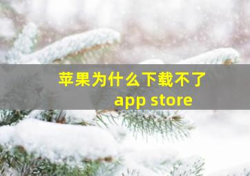 苹果为什么下载不了app store